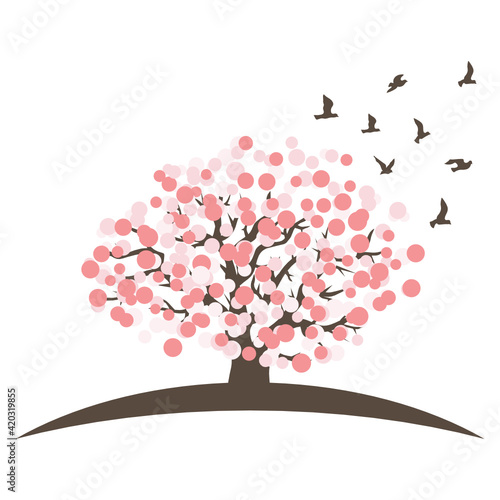 cherry tree blossom