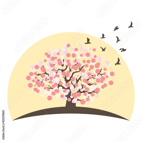 cherry tree blossom