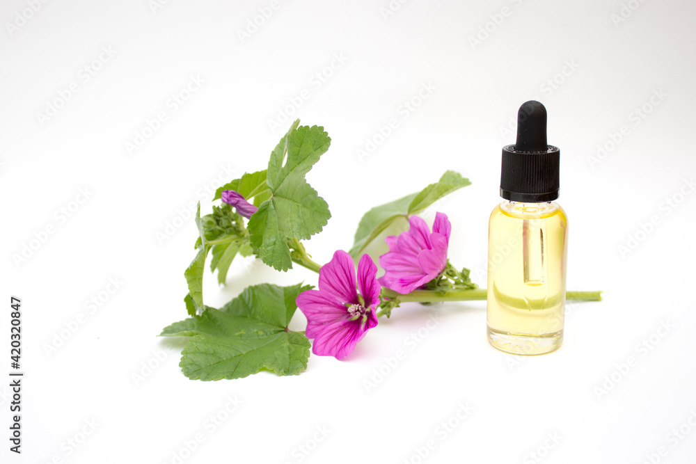 Drip bottle, Essential oil glass bottle. Kalanchoe oil in drip bottle, spring skin care concept. Banner Drip bottle, Essential oil glass bottle. Kalanchoe oil in drip bottle, spring skin care concept. Banner