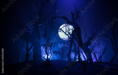 Spooky dark landscape showing silhouettes of trees in the swamp on misty night. Night mysterious landscape in cold tones - silhouettes of the bare tree branches against the full moon