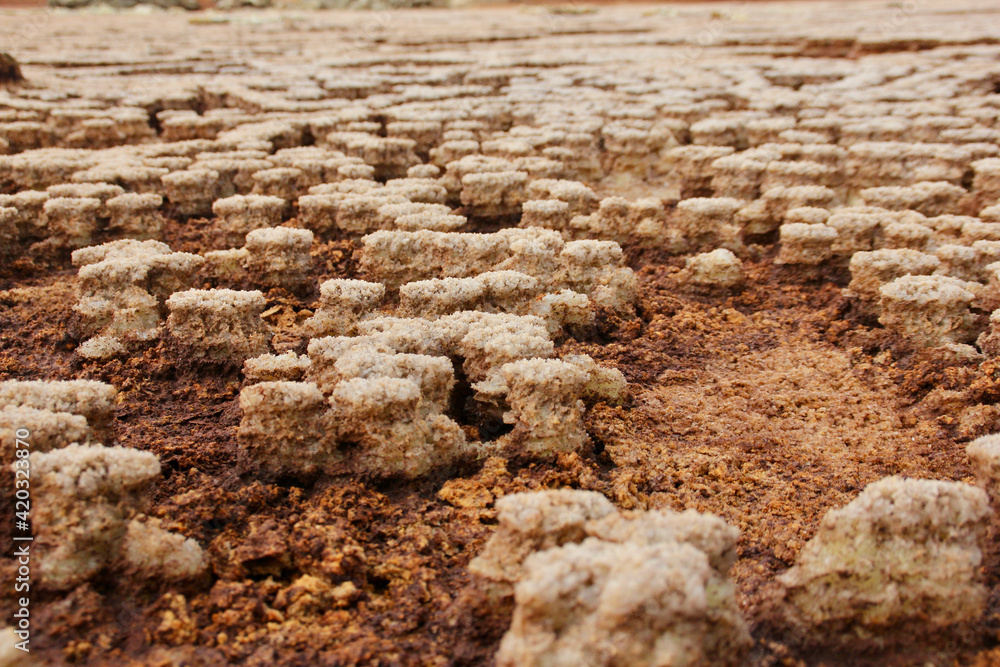 Sulfur Desert Sulfur Desert
