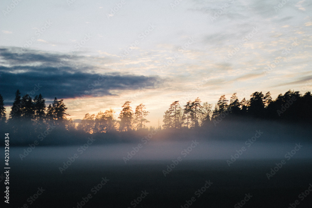 Naklejka premium sunset through foggy forest landscape latvian countryside with fog layers