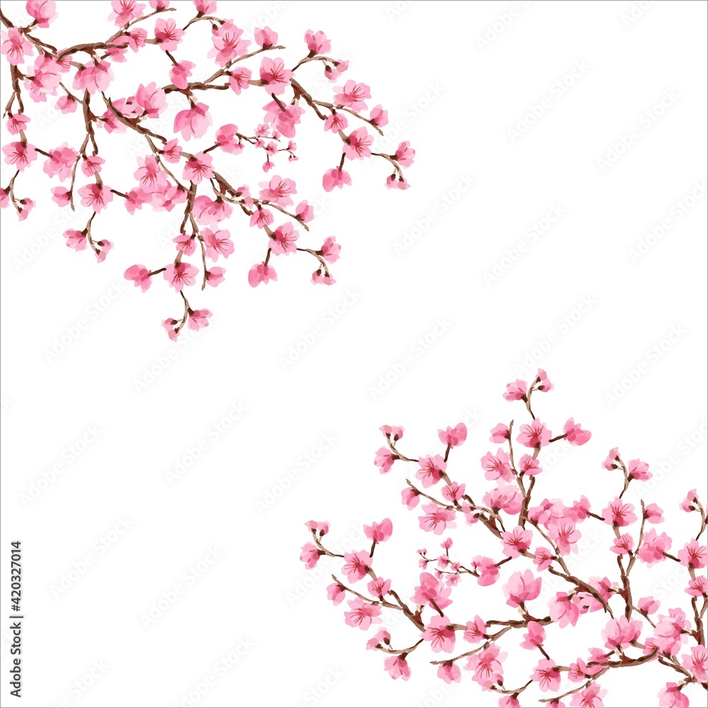 Cherry blossom, Sakura pink flowers background, Cherry blossom Spring flowers background, Background cherry blossom spring flower Japan