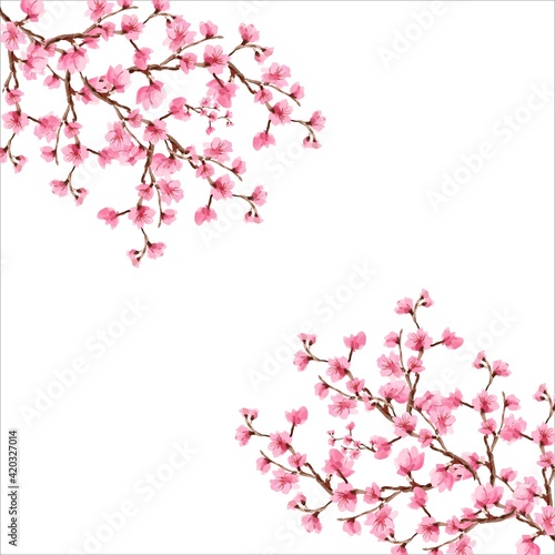 Cherry blossom, Sakura pink flowers background, Cherry blossom Spring flowers background, Background cherry blossom spring flower Japan © Iftikhar alam