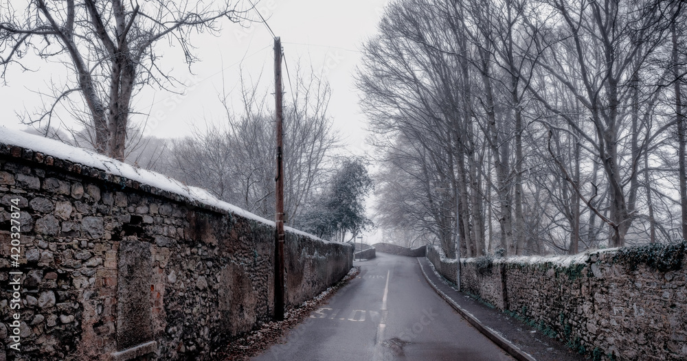 Picturesque Snowy Lane with Ancient Irish Stonework Walls and bare forest
