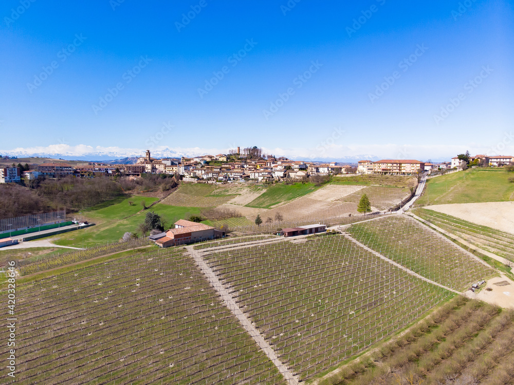 castagnole delle lanze, monferrato langhe vineyards, wine region, Piedmont, Italy