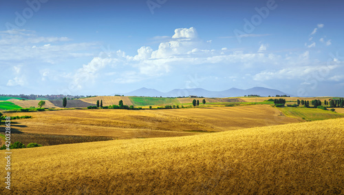 Tuscany countryside panorama, rolling hills and green fields. Pisa, Italy