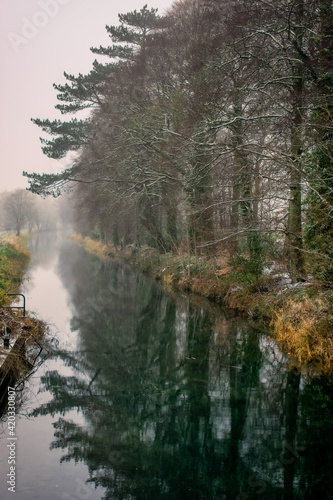 Quaint Foggy Steamy Canal at Sunrise, Kildare, Ireland