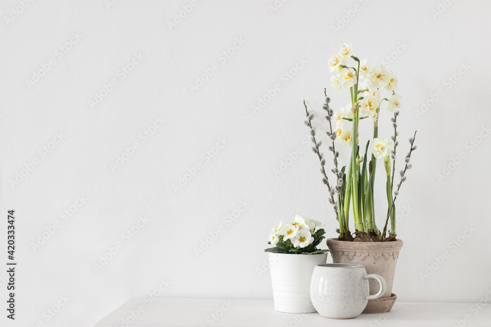 Easter floral composition. Spring still life. Cup of coffee, potted primrose, pussy willow branches. Yellow daffodil flowers. White table background. Styled stock photo. Web banner, empty copy space. Easter floral composition. Spring still life. Cup of coffee, potted primrose, pussy willow branches. Yellow daffodil flowers. White table background. Styled stock photo. Web banner, empty copy space.
