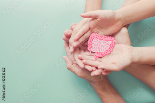 adult and child hands holding intestine shape, healthy bowel degestion, leaky gut, probiotics and prebotics for gut health, colon, gastric, stomach cancer concept photo