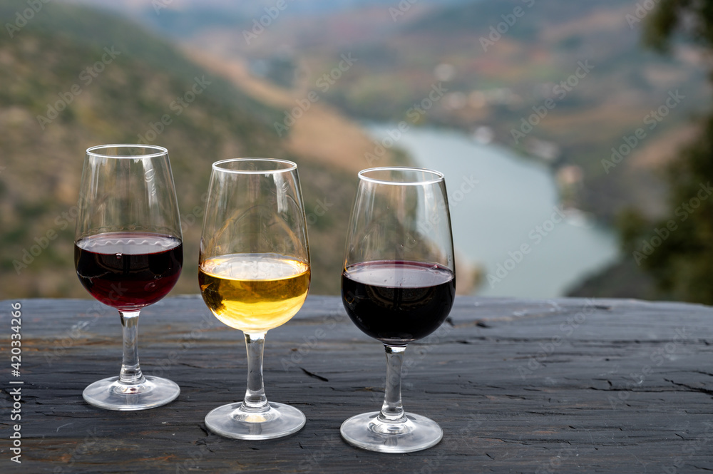 Tasting of Portuguese fortified port wine, produced in Douro Valley with Douro river and colorful terraced vineyards on background in autumn, Portugal