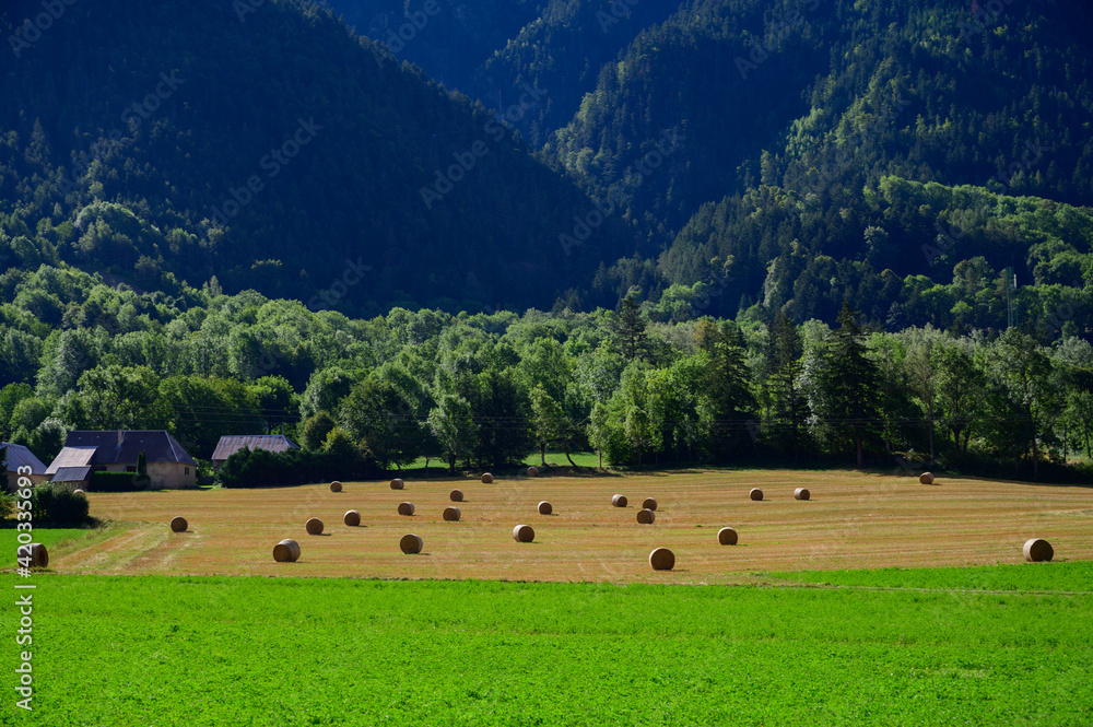 Green meadows and new hay in French Prealps, nature background
