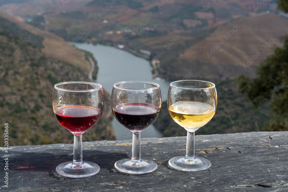 Tasting of Portuguese fortified port wine, produced in Douro Valley with Douro river and colorful terraced vineyards on background in autumn, Portugal