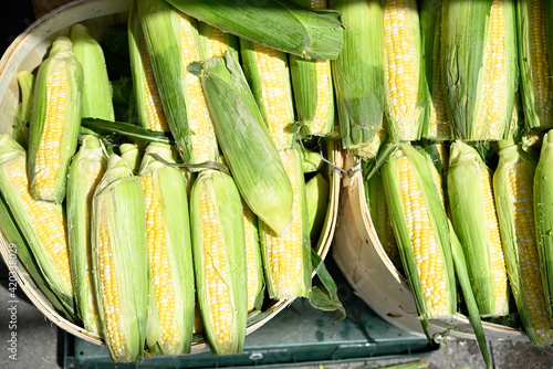 peaches and cream corn on the cob on display at market