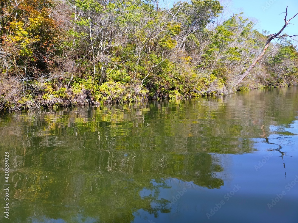 和歌山県紀の川市の観光ため池(大池遊園)の水面に映り込んだ青空と自然の木々の風景(コピースペースあり) 和歌山県紀の川市の観光ため池(大池遊園)の水面に映り込んだ青空と自然の木々の風景(コピースペースあり)