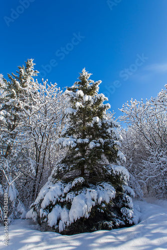 Spectacular winter landscape in Quebec, Canada