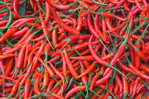 Red pepper. Red hot chili peppers pattern texture background. Close up. A backdrop of Red hot chilli peppers. selective focus chili © BlueSky