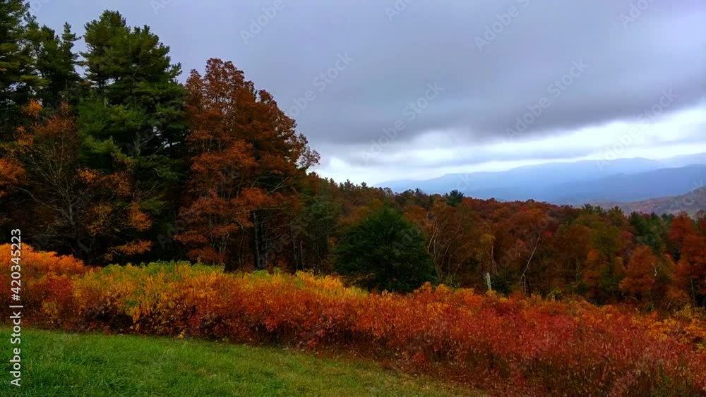 Wide View of Fall Color at Smokey Mountain Wide View of Fall Color at Smokey Mountain