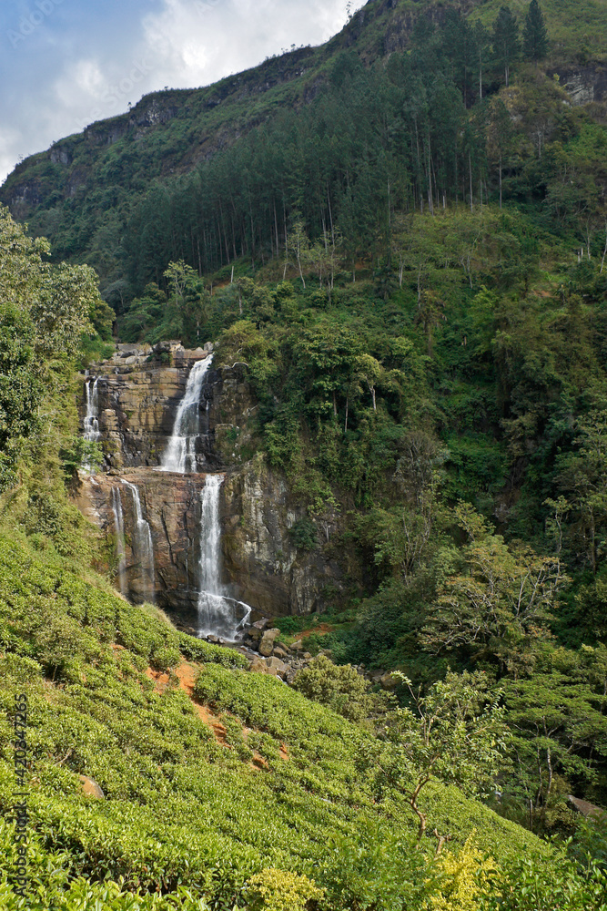 Ramboda Falls and tea plantation, Hill Country of Sri Lanka