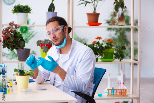 Young male chemist perfumer working in the lab