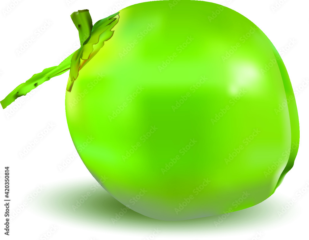 green or tender coconut on white background green or tender coconut on white background