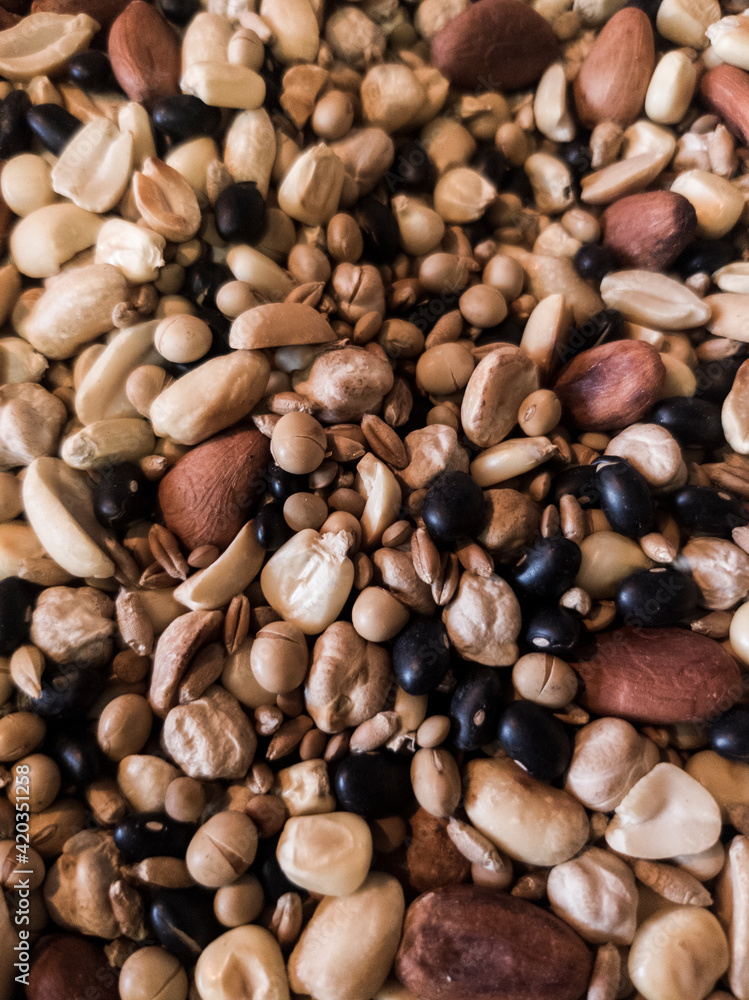 mix of seeds mix of seeds