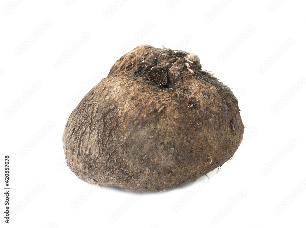 Dioscorea alata or yam on white background Dioscorea alata or yam on white background