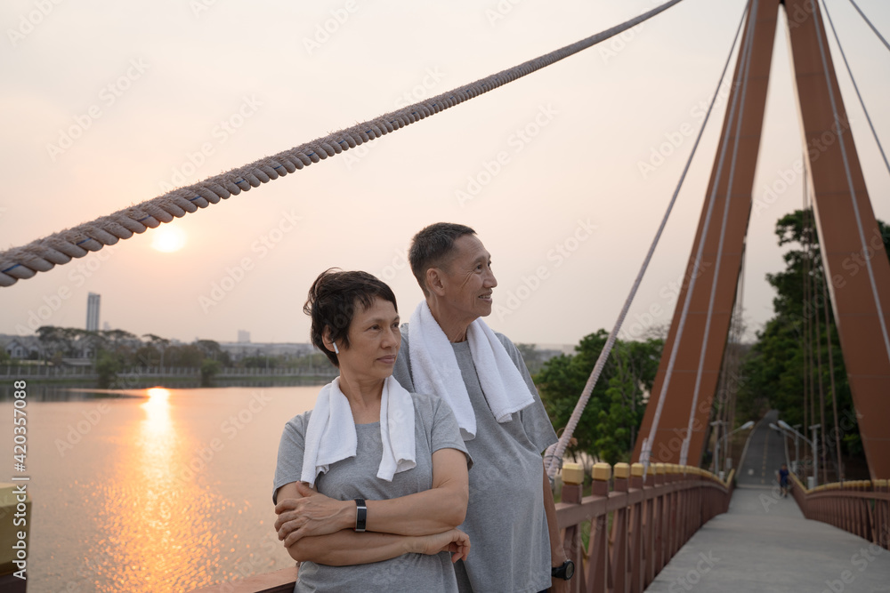happy senior couple holding hand and walking outdoor. happy senior couple holding hand and walking outdoor.