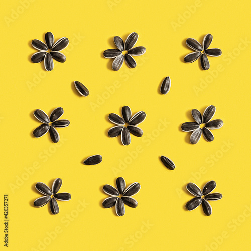 Pattern fron black sunflower seeds inscribed in square on yellow background. Raw whole grains © yrabota
