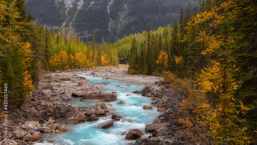 Fresh water stream through Yoho national park in Alberta, Canada Fresh water stream through Yoho national park in Alberta, Canada