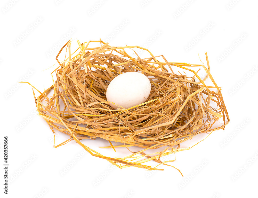 duck egg in nest on white background duck egg in nest on white background