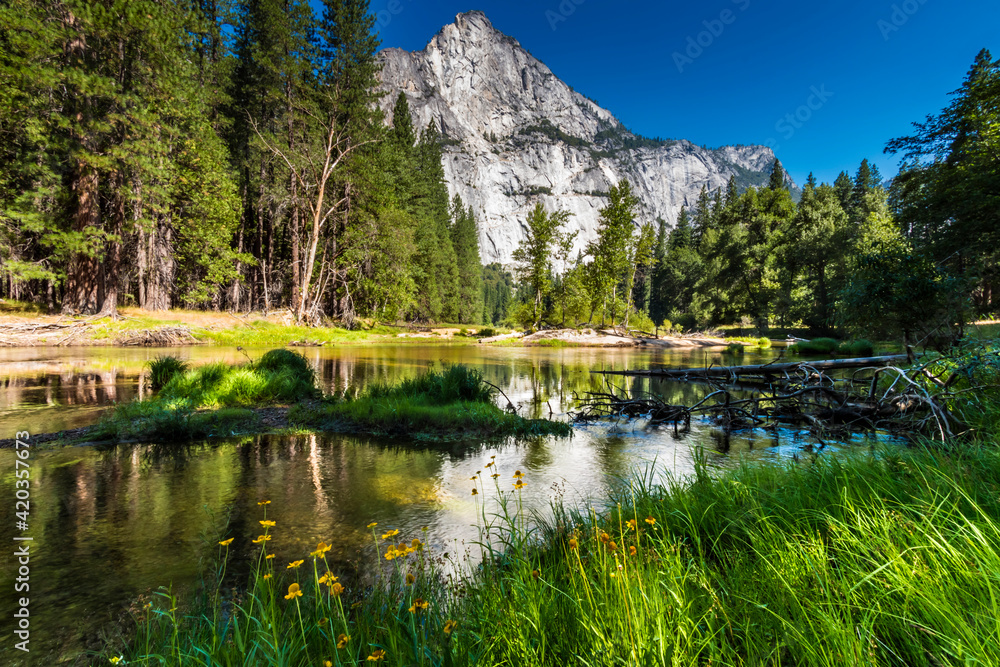 summer landscape photo of Yosemite National park taken from Yosemite valley .