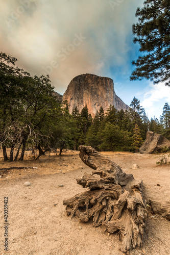 Canvas Print summer landscape photo of Yosemite National park taken from Yosemite valley