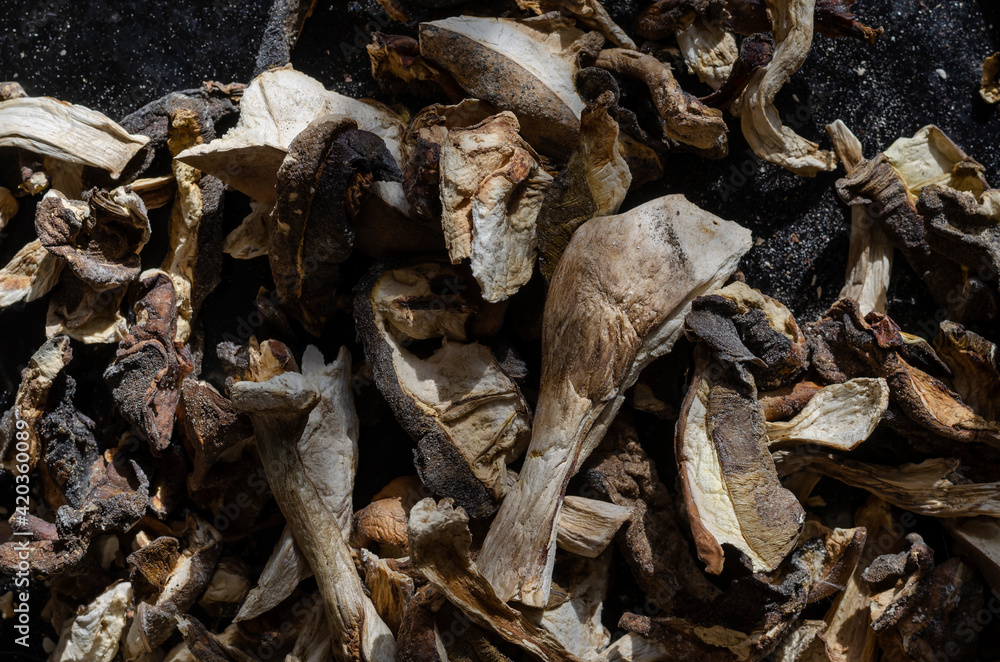 Dried forest mushrooms. Dried forest mushrooms.