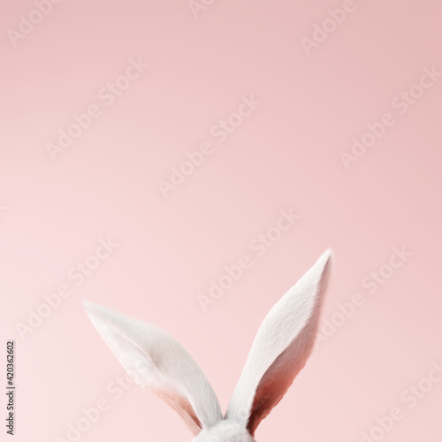 White rabbit ear on pastel pink background. Easter day. 3d rendering photo