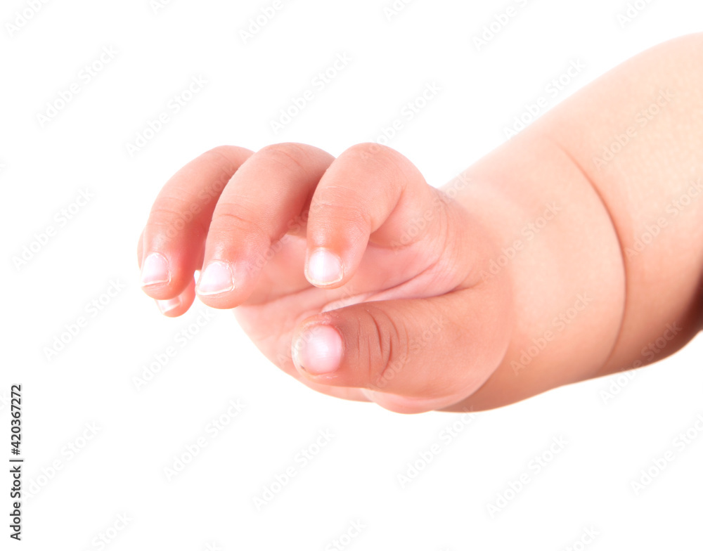 Baby's little hand Baby's little hand