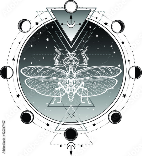 Mystical symbol: illusive silhouette of a mantis. Sacred geometry. Alchemy, magic, esoteric, occultism. Vector illustration isolated on a white background. Print, poster, t-shirt, card.