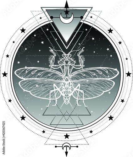 Mystical symbol: illusive silhouette of a mantis. Sacred geometry. Alchemy, magic, esoteric, occultism. Vector illustration isolated on a white background. Print, poster, t-shirt, card.