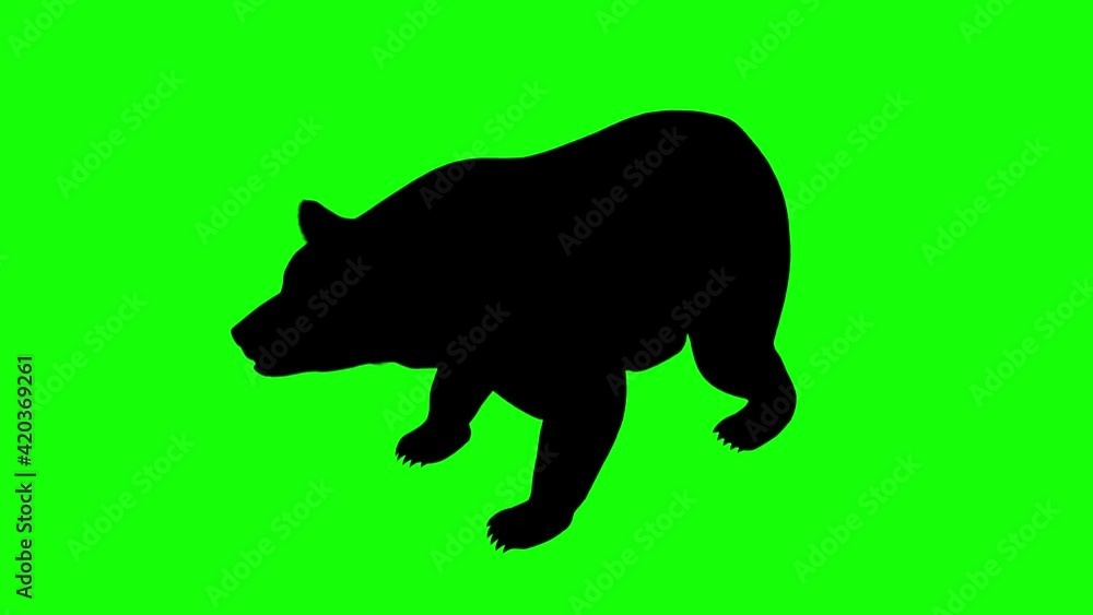 Silhouette of a bear howling, on green screen, perspective view. Animal silhouettes seamless loop 3D animation. Silhouette of a bear howling, on green screen, perspective view. Animal silhouettes seamless loop 3D animation.