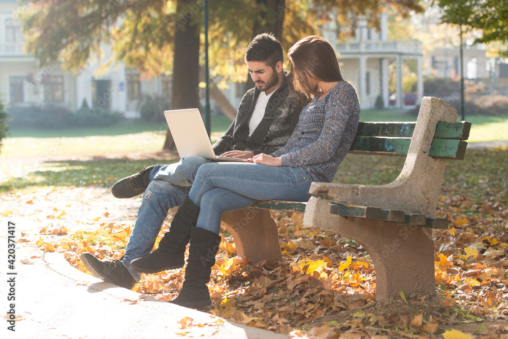 Young Couple Using Laptop At Outdoor In Park