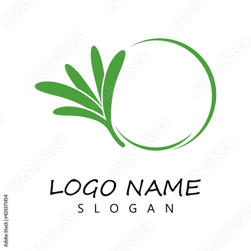 rosemary leaf vector logo illustration template