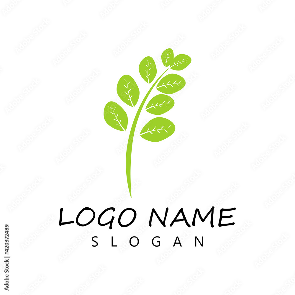 Moringa leaf Logo Template vector symbol nature Moringa leaf Logo Template vector symbol nature