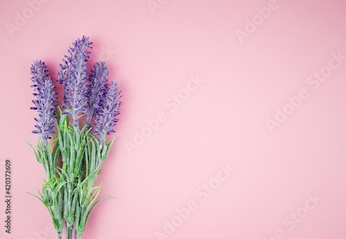 Fototapeta Naklejka Na Ścianę i Meble -  artificial lavender on pink background, copy space