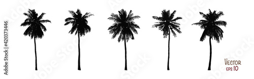 Set of coconut trees silhouettes collection. Isolated on white background. Vector EPS10.