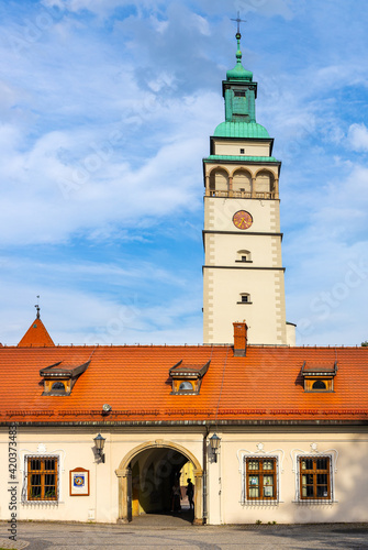 Fototapeta Naklejka Na Ścianę i Meble -  Main gate to Palace of Habsburgs, Old Castle and Zywiec Castle Park with Cathedral tower in historic city center of Zywiec in Silesia region of Poland