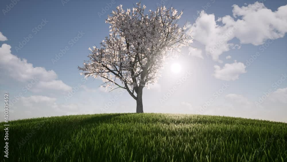 One tree growth Ecology Agriculture concept environment Nature spring season Environmental Green grass hill One tree growth Ecology Agriculture concept environment Nature spring season Environmental Green grass hill