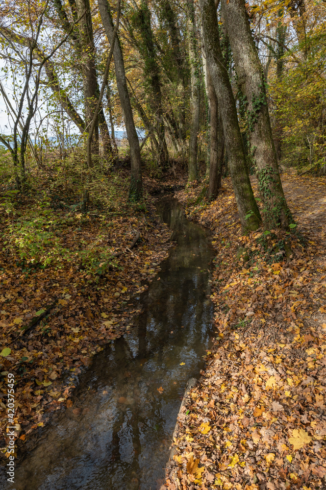 Sentier le long du canal, Versois Sentier le long du canal, Versois