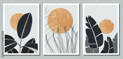 A set of three abstract minimalistic aesthetic floral illustrations. Dark silhouettes of plants on a light background with circles. Modern vector posters for social networks, web design, interiors. 