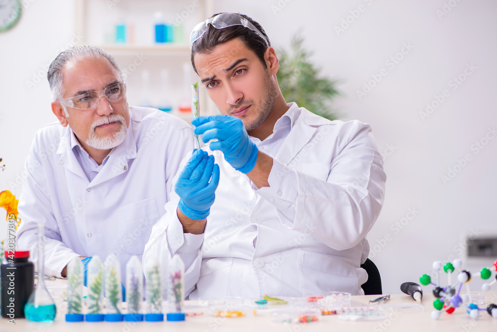 Two chemists working in the lab Two chemists working in the lab