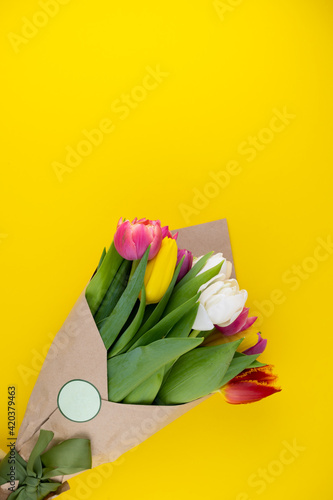 Printed Paper Gift Present Bag TULIPS LEA Colourful Spring Flowers Medium Large 